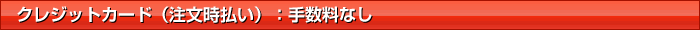 �N���W�b�g�J�[�h�i�����������j�F�萔���Ȃ�